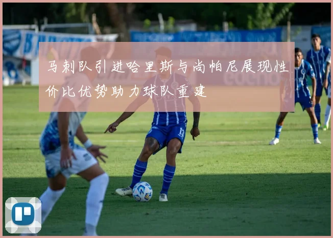 马刺队引进哈里斯与尚帕尼展现性价比优势助力球队重建