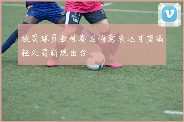 被罚球员教练赛后悔意表达可望减轻处罚新规出台